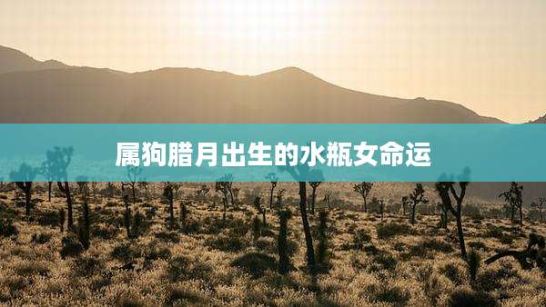 属狗腊月出生的水瓶女命运