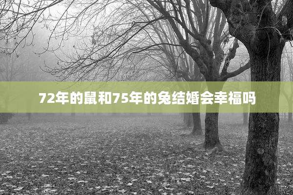 72年的鼠和75年的兔结婚会幸福吗