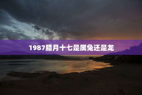 1987腊月十七是属兔还是龙