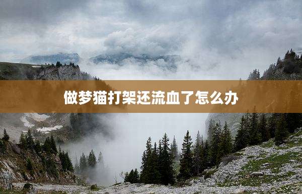 做梦猫打架还流血了怎么办