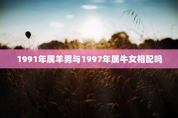 1991年属羊男与1997年属牛女相配吗