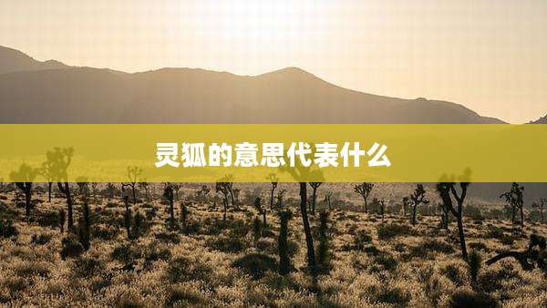 灵狐的意思代表什么