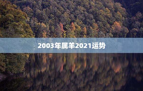 2003年属羊2021运势