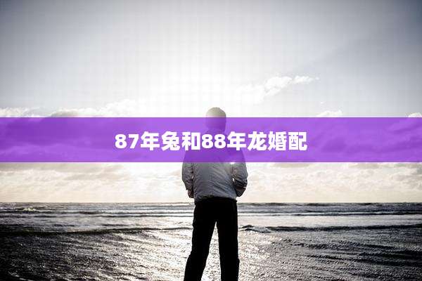 87年兔和88年龙婚配