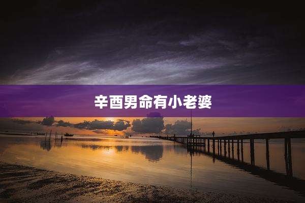 辛酉男命有小老婆