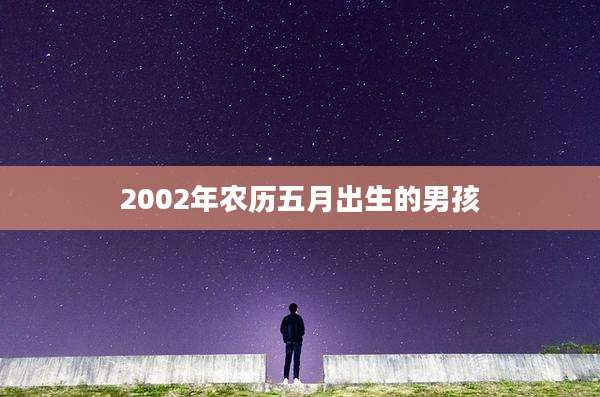 2002年农历五月出生的男孩