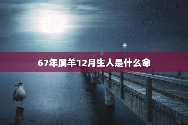 67年属羊12月生人是什么命