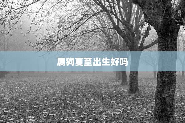 属狗夏至出生好吗