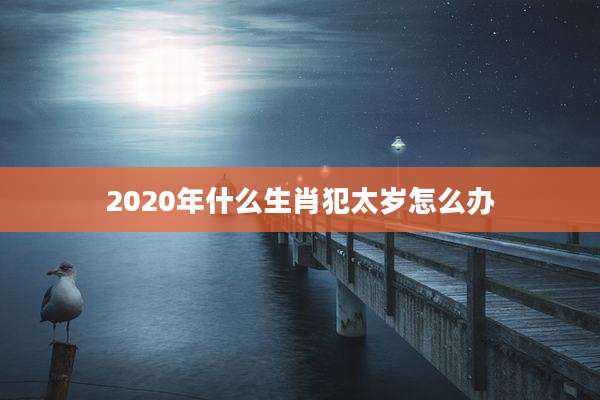 2020年什么生肖犯太岁怎么办