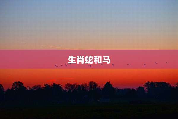 生肖蛇和马