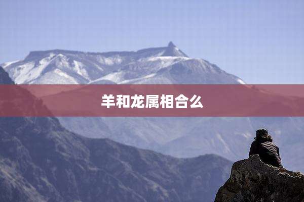 羊和龙属相合么