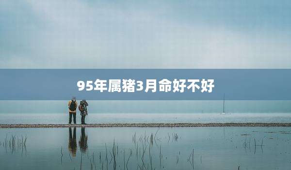 95年属猪3月命好不好