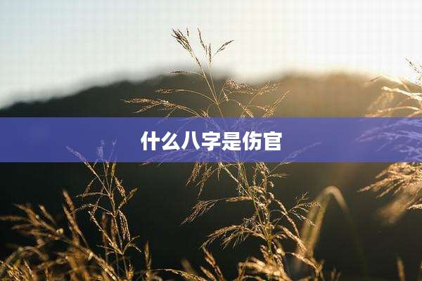 什么八字是伤官