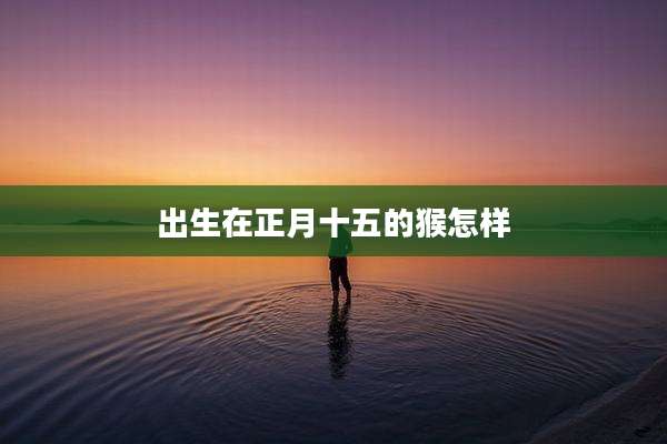 出生在正月十五的猴怎样