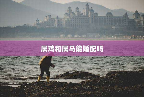属鸡和属马能婚配吗