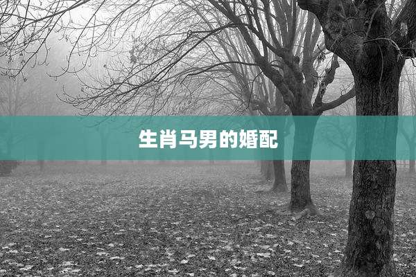 生肖马男的婚配