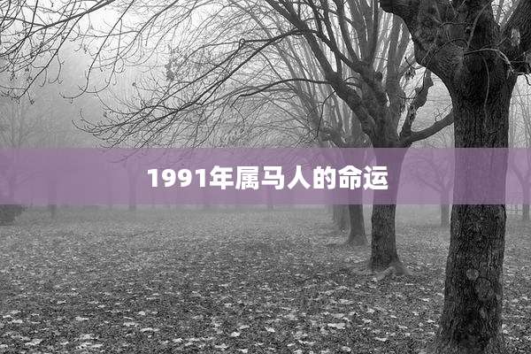 1991年属马人的命运