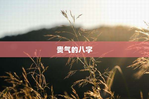 贵气的八字
