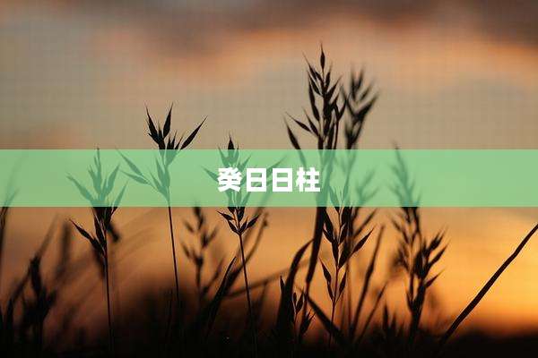 癸日日柱