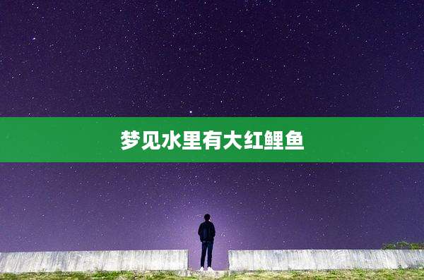 梦见水里有大红鲤鱼