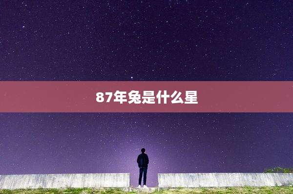 87年兔是什么星