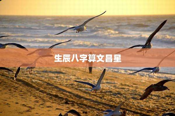 生辰八字算文昌星