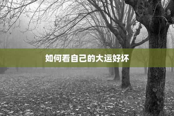 如何看自己的大运好坏