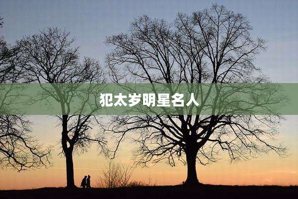 犯太岁明星名人