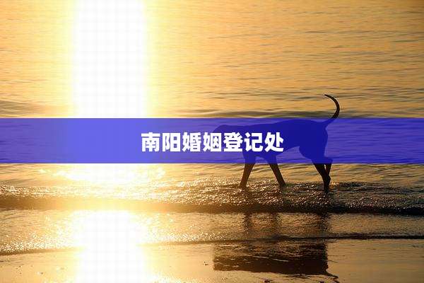 南阳婚姻登记处