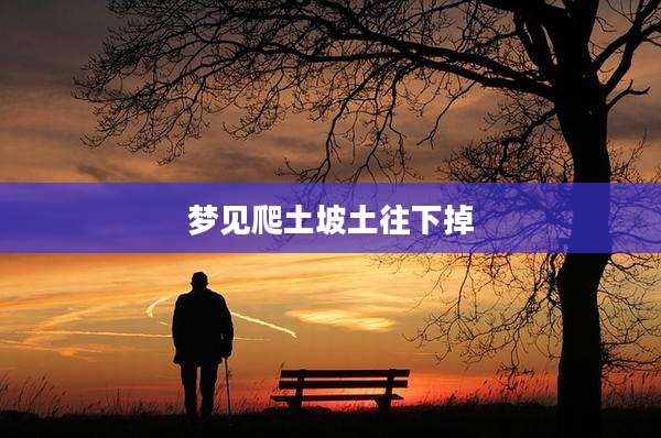 梦见爬土坡土往下掉