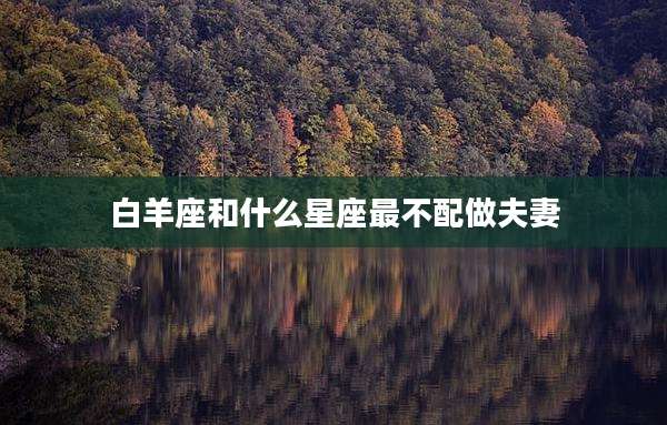 白羊座和什么星座最不配做夫妻