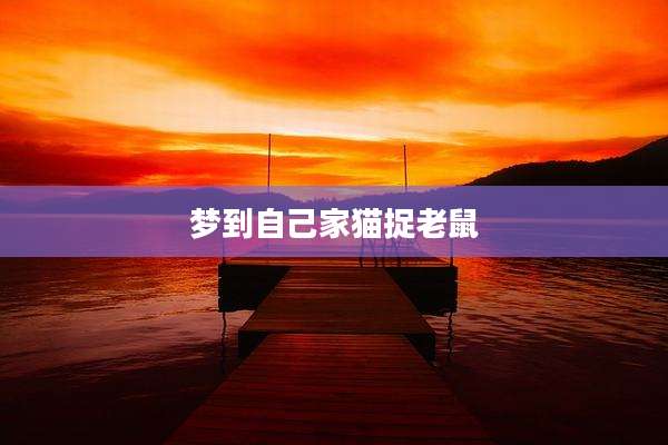 梦到自己家猫捉老鼠