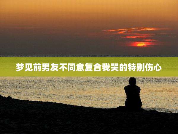 梦见前男友不同意复合我哭的特别伤心
