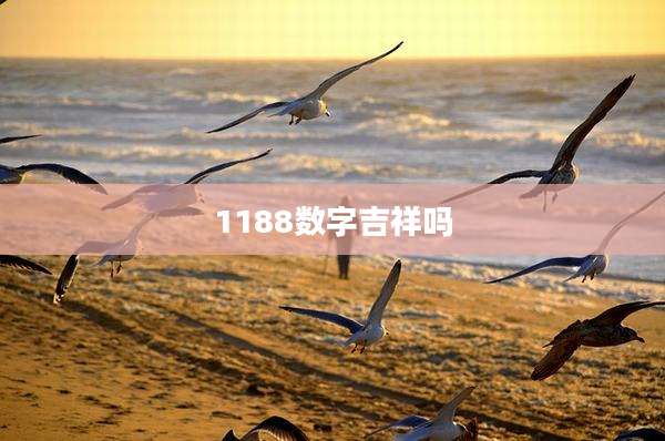 1188数字吉祥吗