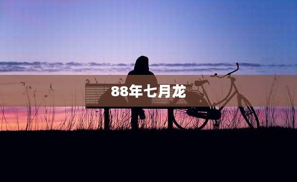 88年七月龙