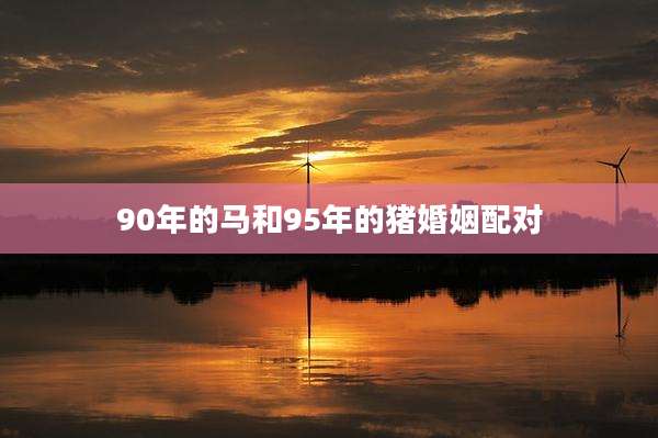 90年的马和95年的猪婚姻配对