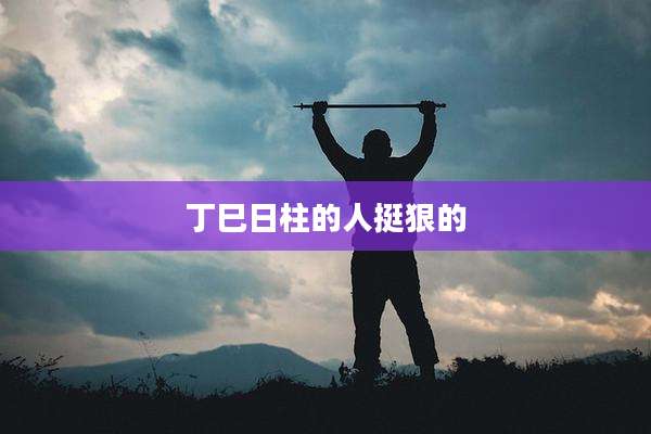 丁巳日柱的人挺狠的