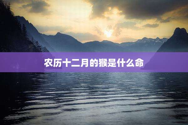 农历十二月的猴是什么命
