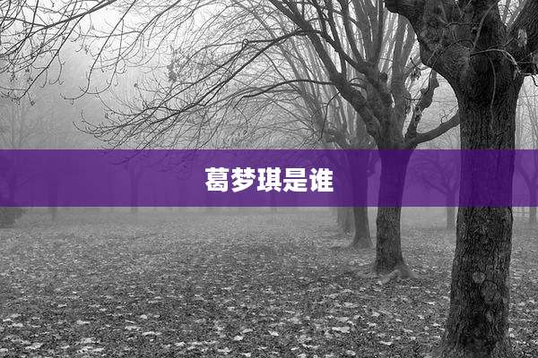 葛梦琪是谁
