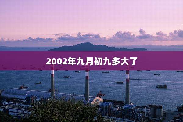 2002年九月初九多大了