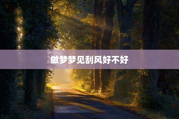 做梦梦见刮风好不好