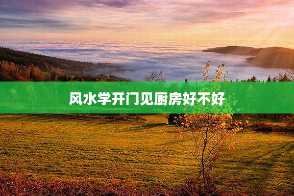 风水学开门见厨房好不好
