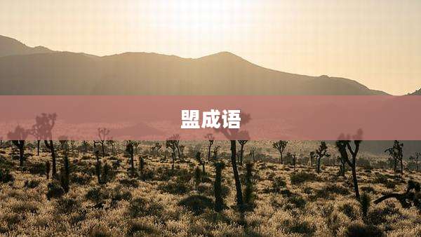 盟成语