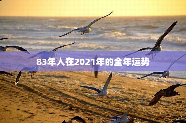 83年人在2021年的全年运势