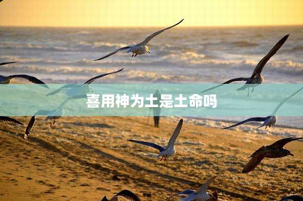 喜用神为土是土命吗