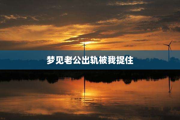 梦见老公出轨被我捉住