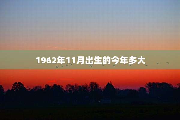 1962年11月出生的今年多大