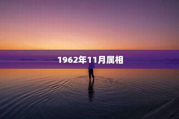1962年11月属相