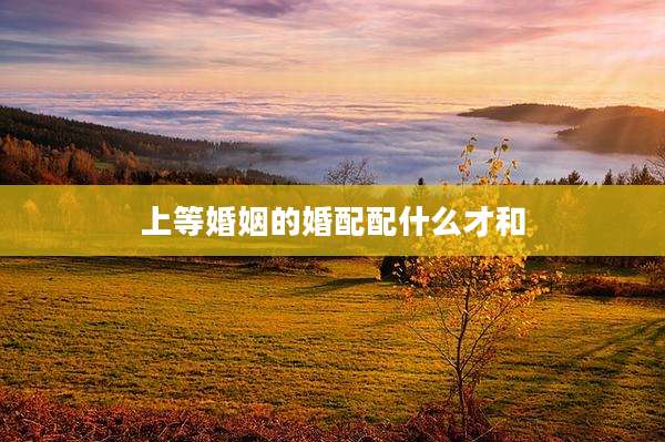 上等婚姻的婚配配什么才和