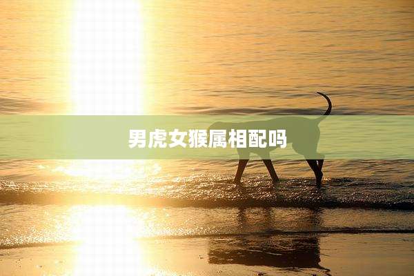 男虎女猴属相配吗